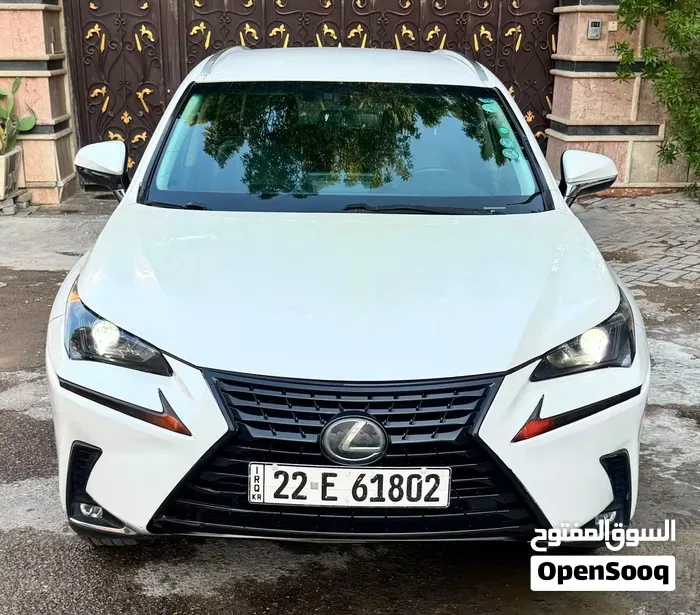 Lexus Nx 2019 photo 2