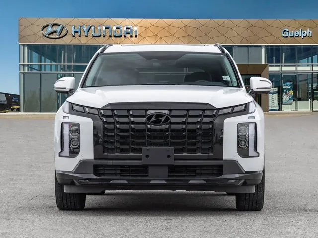 Hyundai Palisade 2025 photo 2