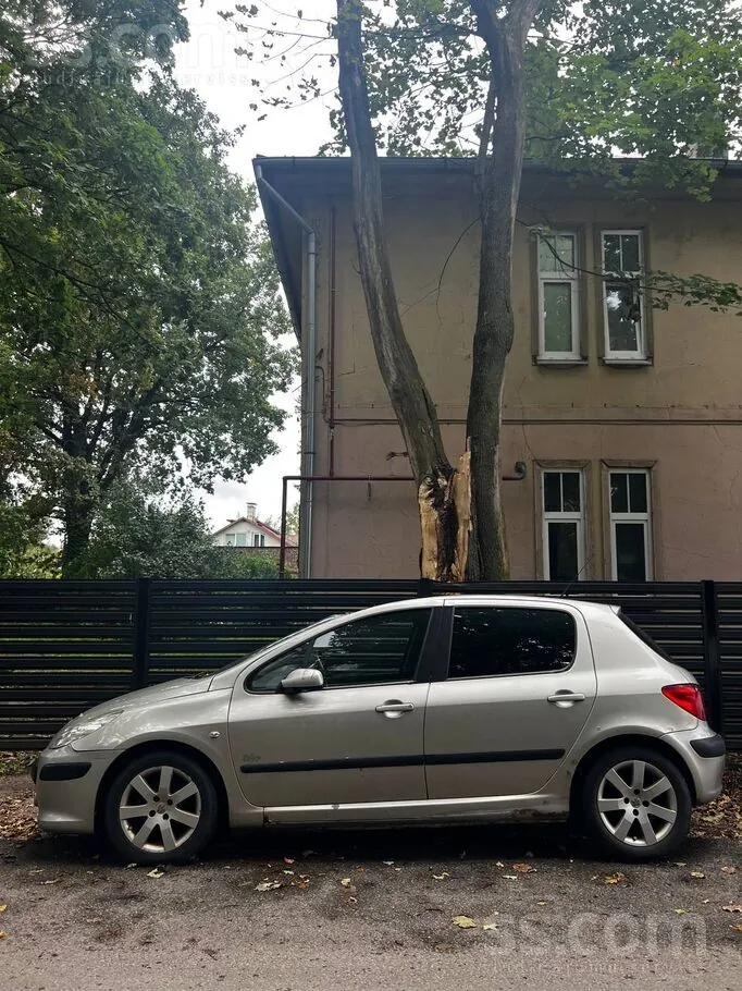 Peugeot 307 2007 photo 4