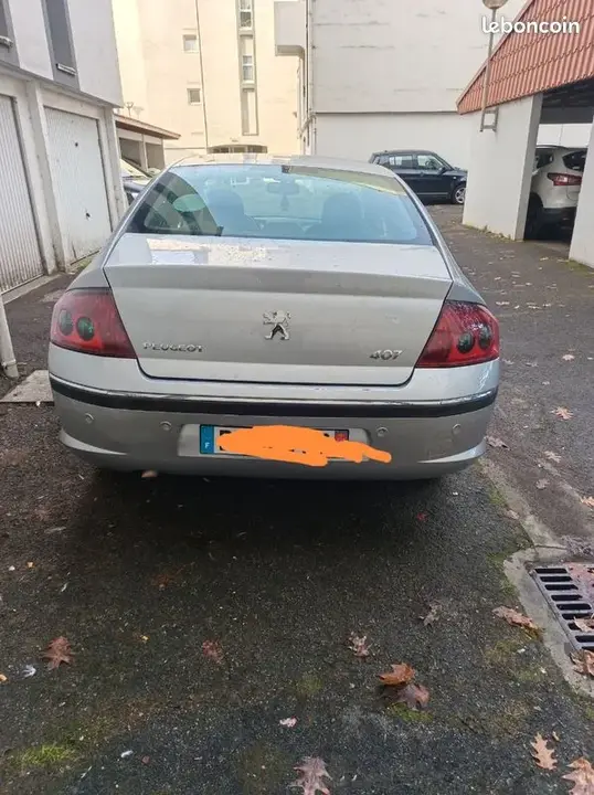 Peugeot 407 2005 photo 3