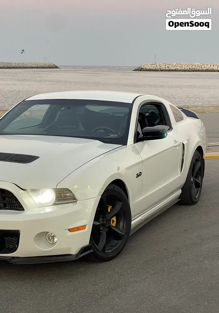 Ford Mustang 2010 photo 5