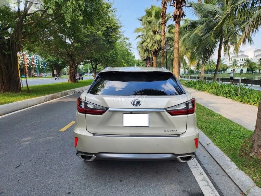 Lexus Rx 2019 photo 5