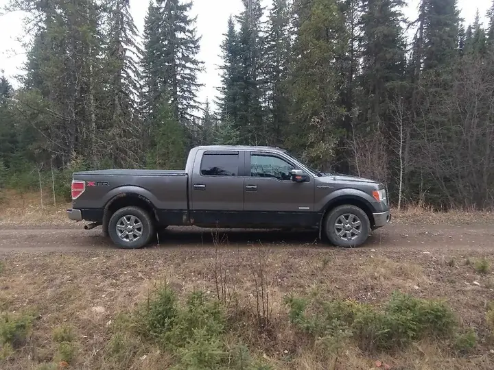 Ford F-150 2014 photo 3