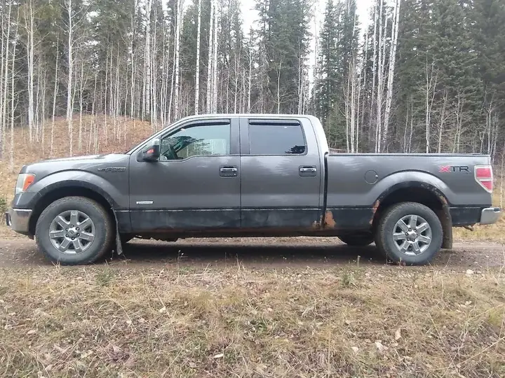 Ford F-150 2014 photo 2