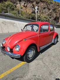 Volkswagen Beetle 1970 photo 4