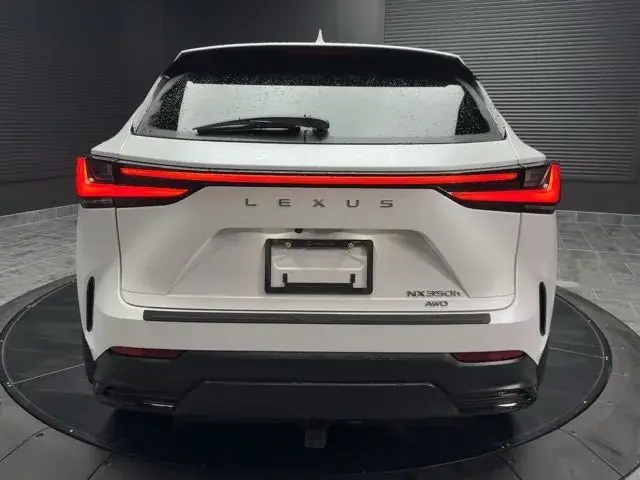 Lexus Nx 2023 photo 4