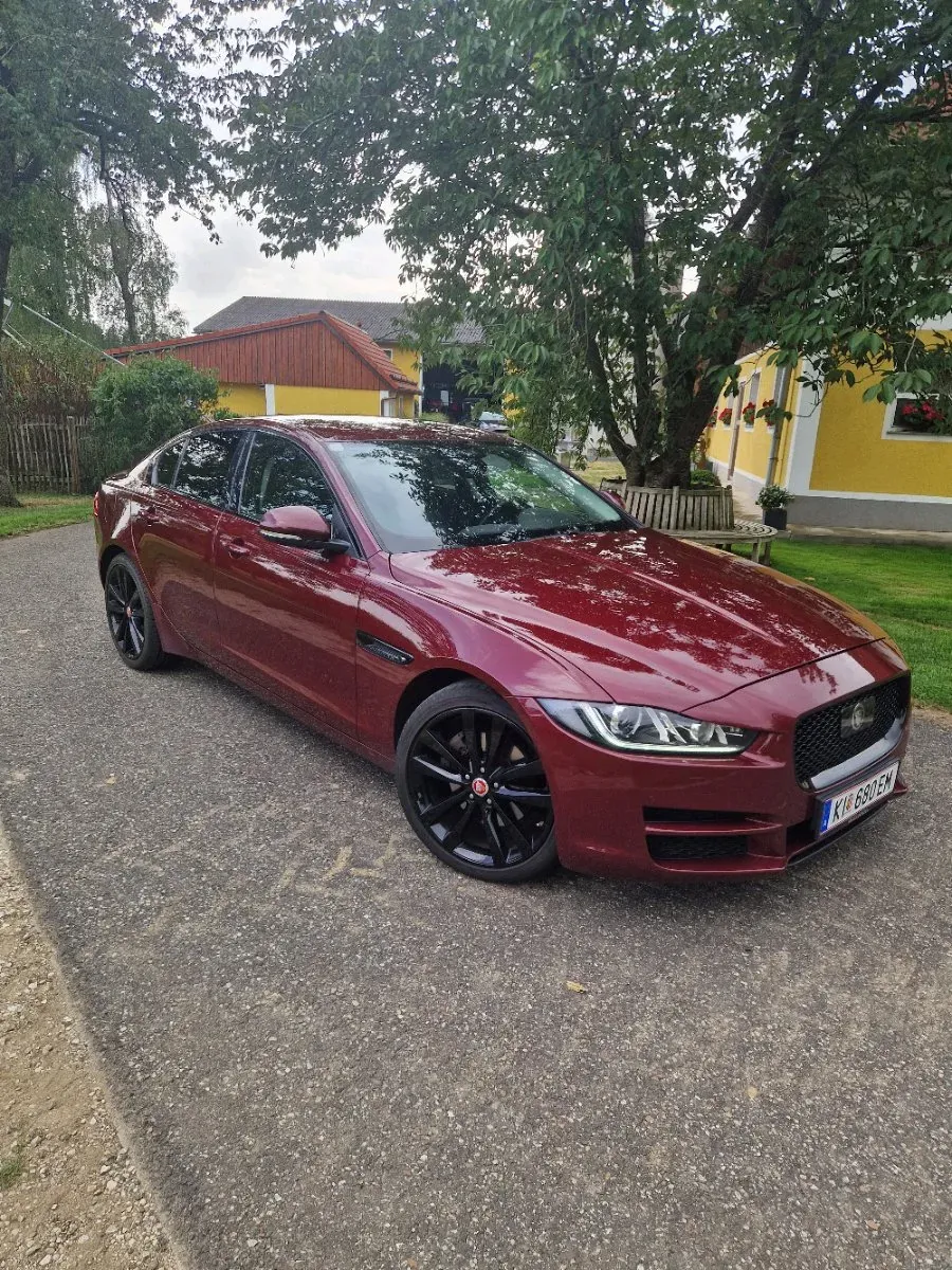 Jaguar Xe 2016 photo 2