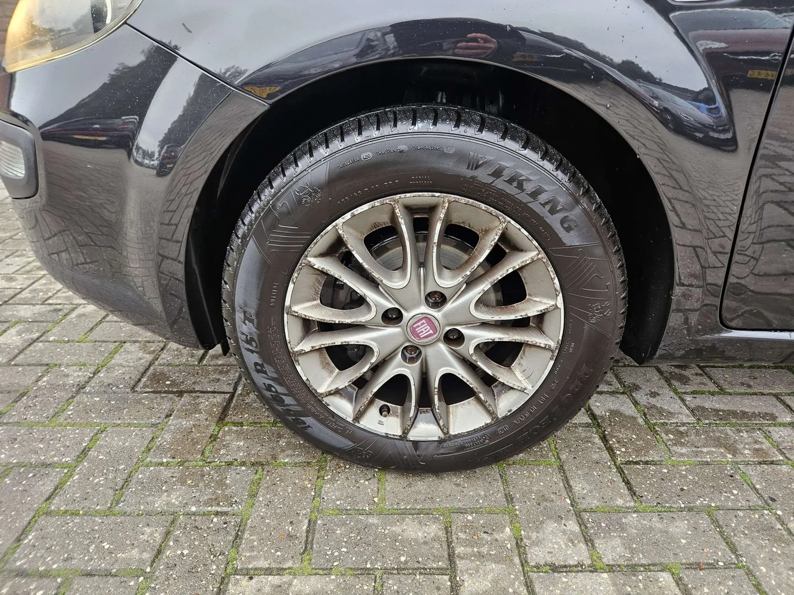 Fiat Punto Evo 2011 photo 4