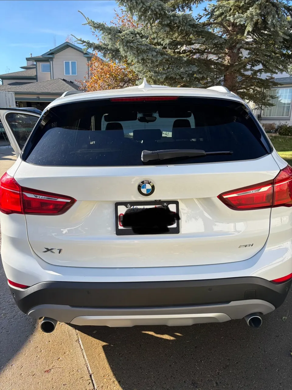 BMW X1 2019 photo 2