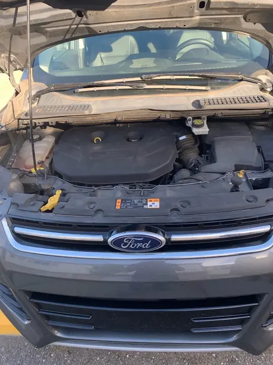 Ford Escape 2014 photo 3