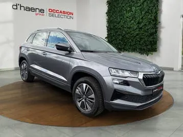 Skoda Karoq 2022 photo 3