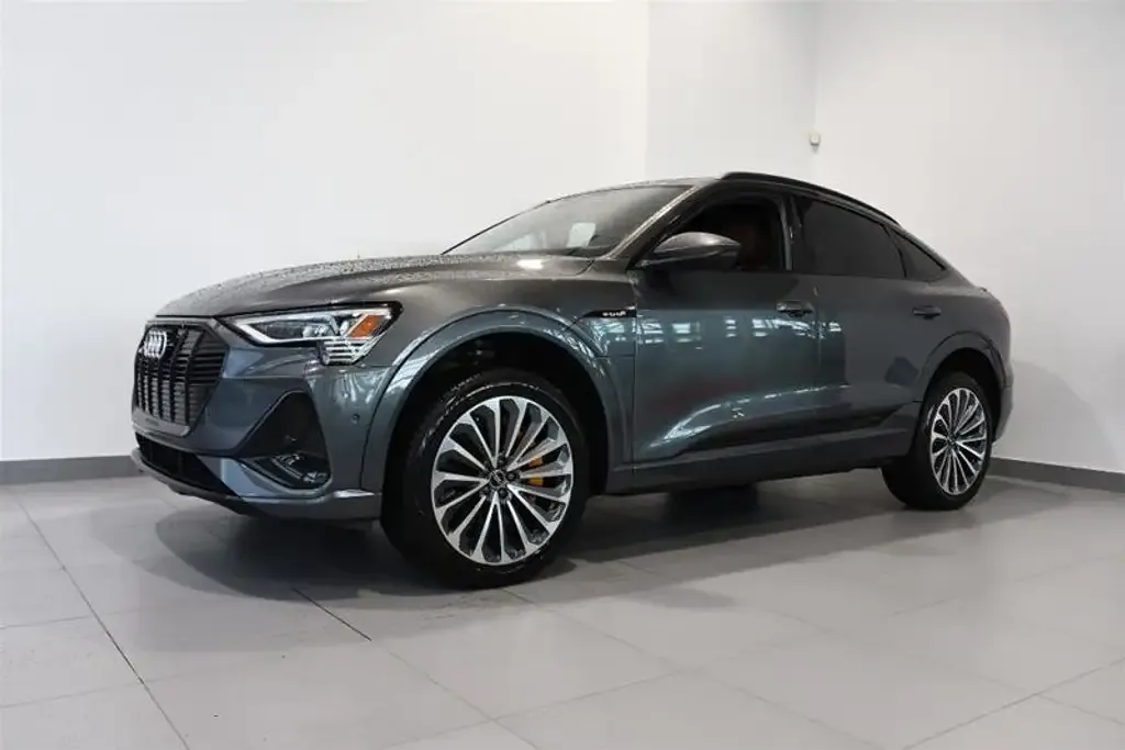 Audi E-Tron 2022 photo 5