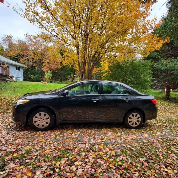 Toyota Corolla 2013 photo 3