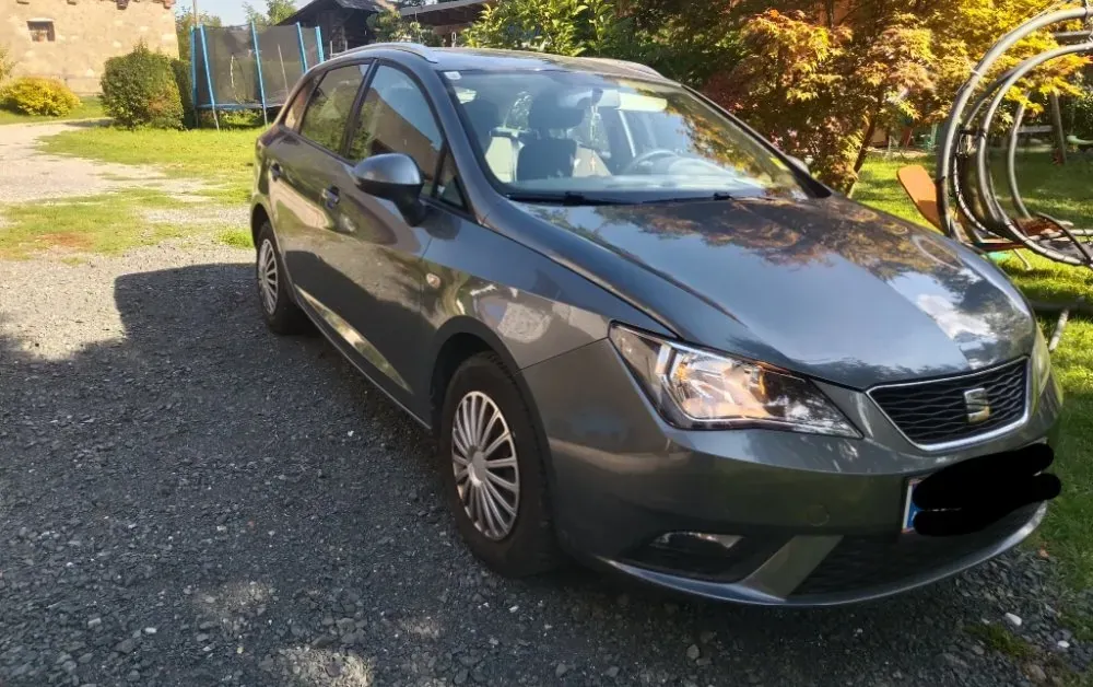 Seat Ibiza 2015 photo 2
