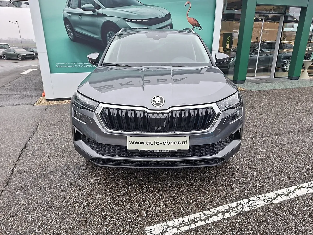 Skoda Karoq 2025 photo 3