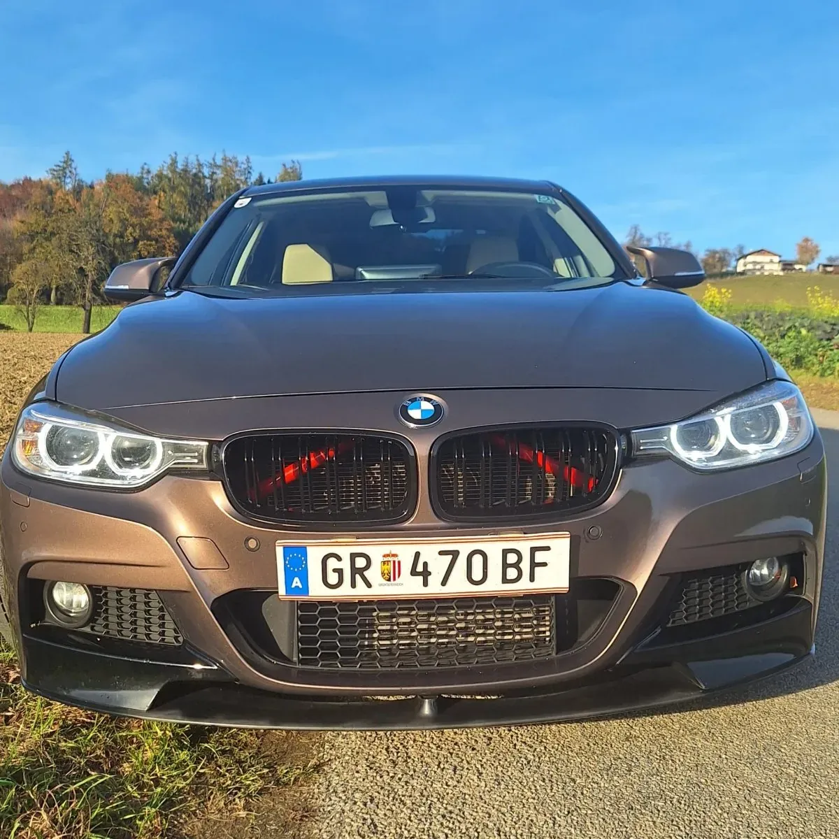 BMW 3Er-Reihe 316I 2013 photo 2