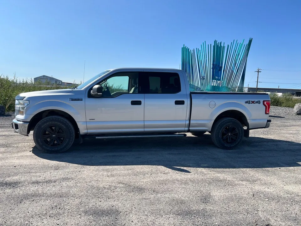 Ford F-150 2015 photo 3