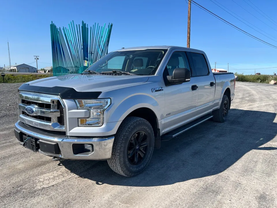 Ford F-150 2015 photo 2
