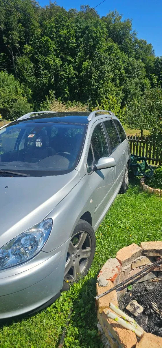 Peugeot 307 2007 photo 2