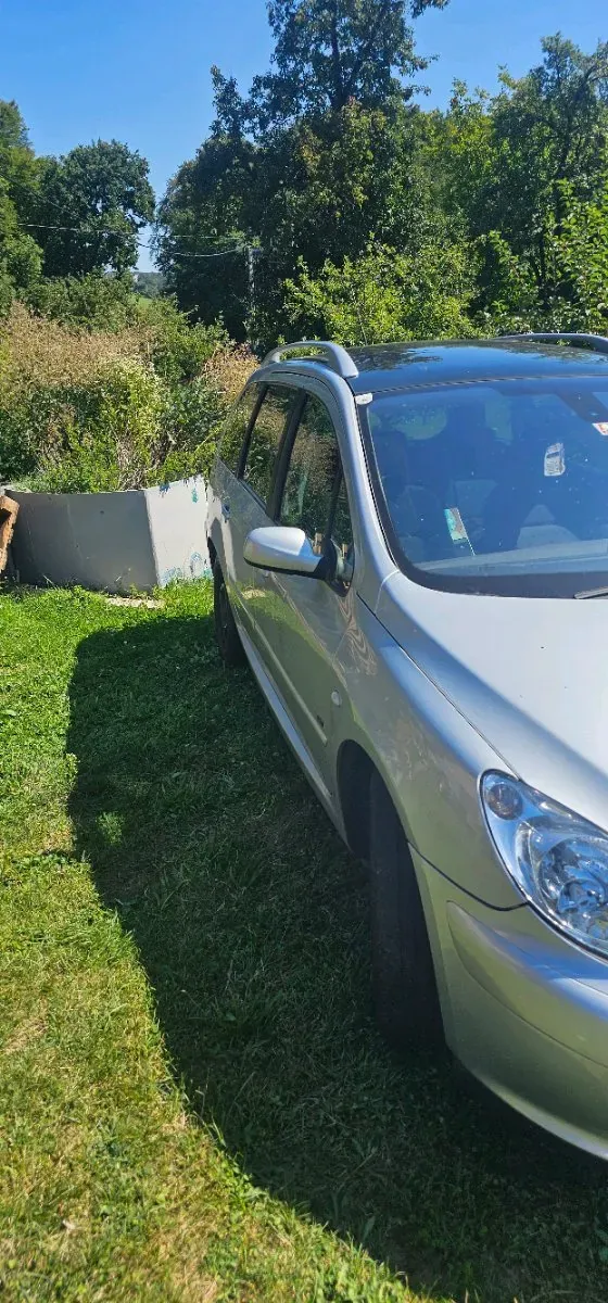 Peugeot 307 2007 photo 3