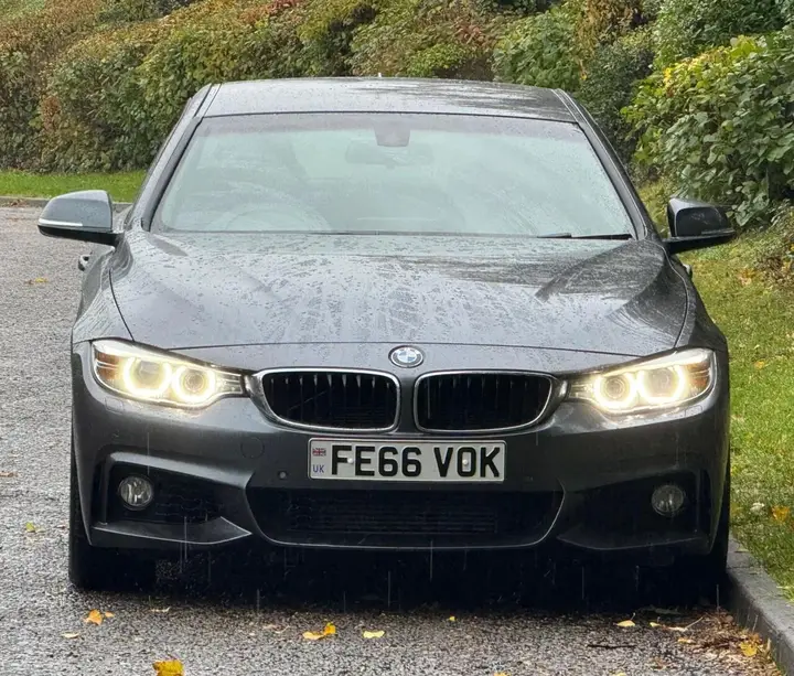 BMW 4 Series Gran Coupe 2016 photo 4