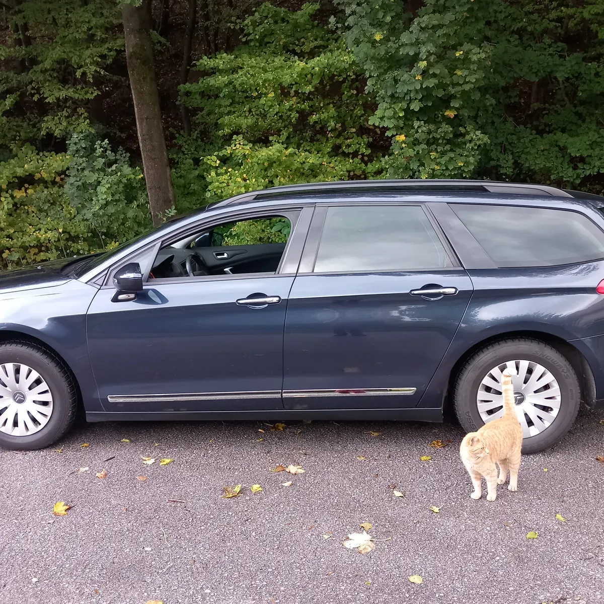 Citroen C5 2008 photo 2