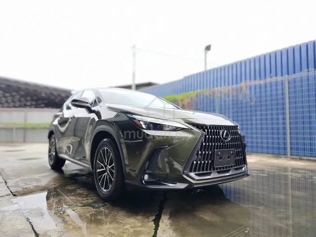 Lexus Nx250