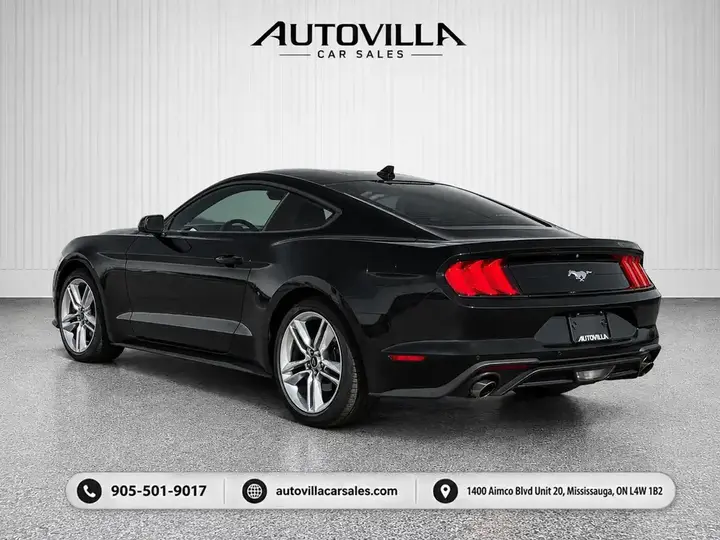 Ford Mustang 2021 photo 4