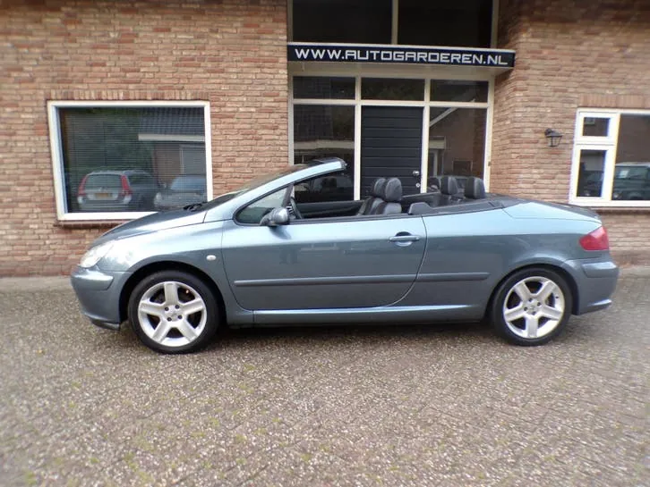 Peugeot 307 2005 photo 2