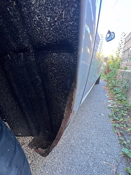 Ford Focus 2009 photo 4