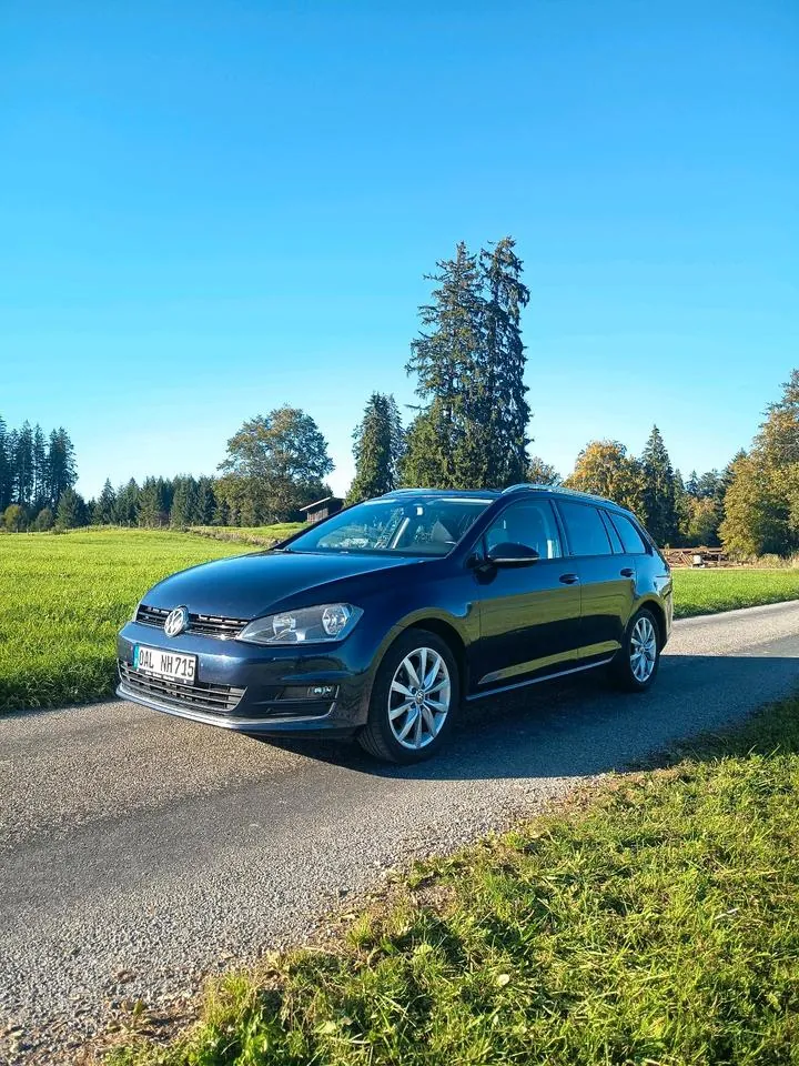 Volkswagen Golf 7