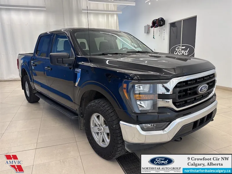 Ford F-150 2023 photo 3