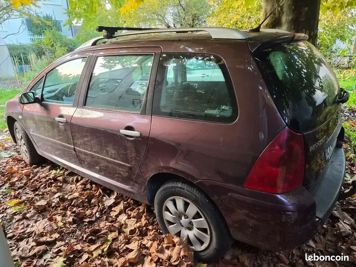 Peugeot 307 2006 photo 2