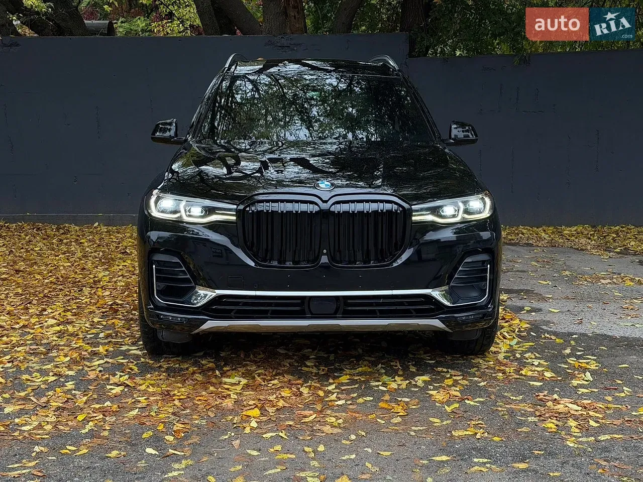 BMW X7 2019 photo 2