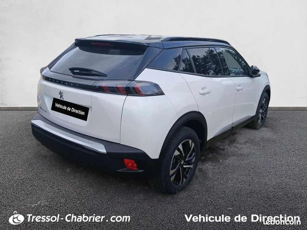 Peugeot 2008 2008 photo 5