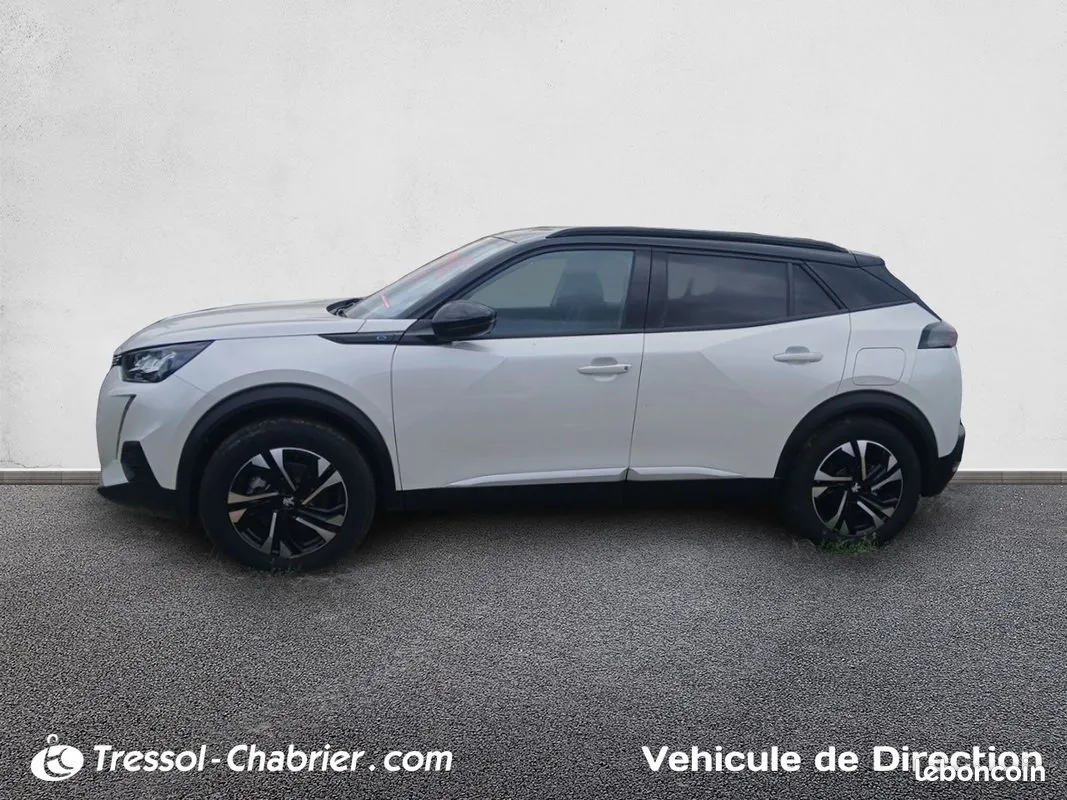 Peugeot 2008 2008 photo 2