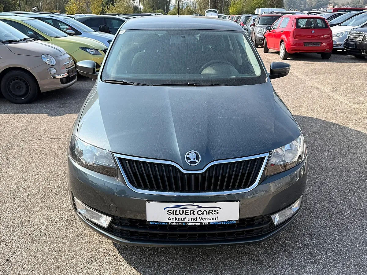 Skoda Rapid 2014 photo 2