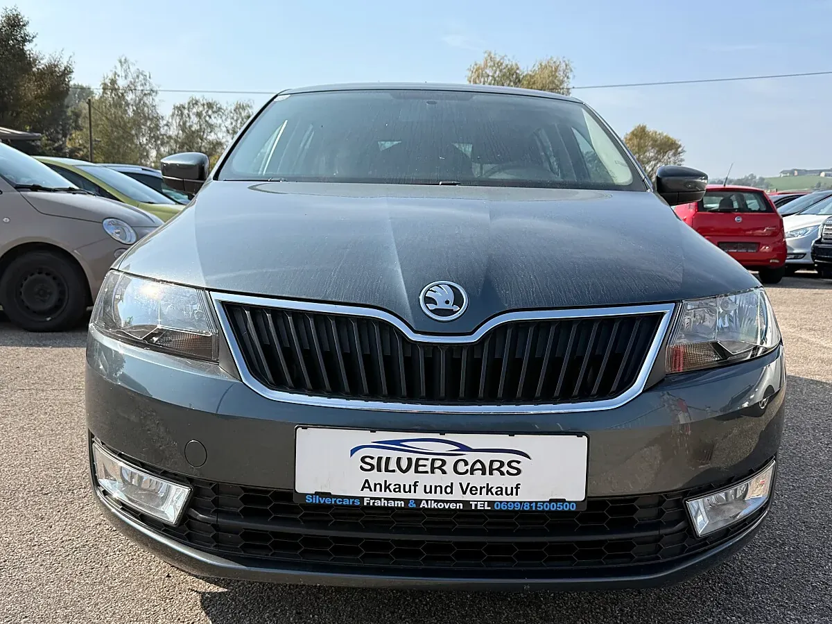 Skoda Rapid
