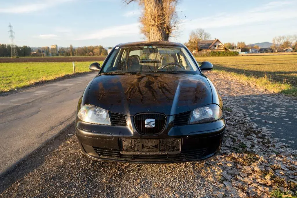 Seat Ibiza 2004 photo 2