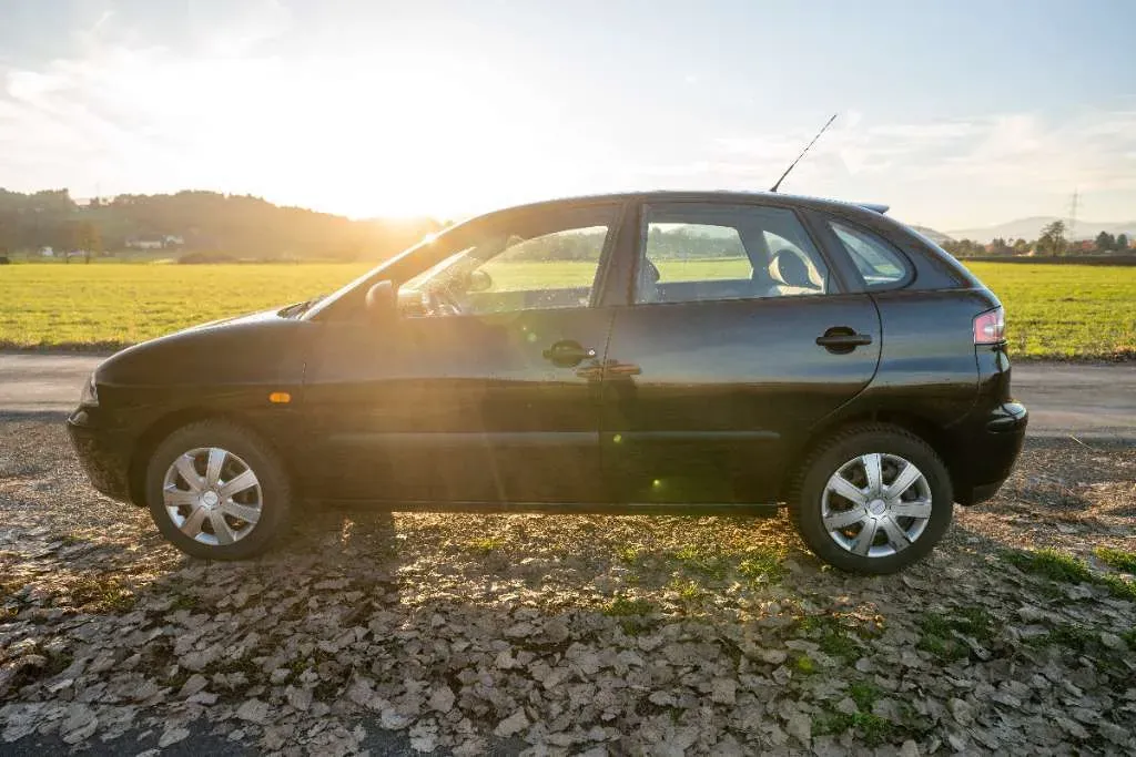Seat Ibiza 2004 photo 3