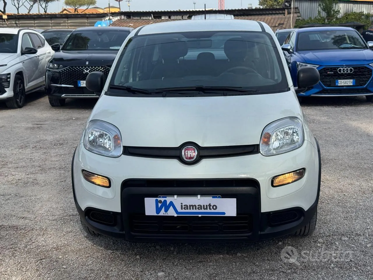 Fiat Panda 2024 photo 2