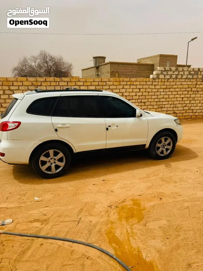 Hyundai Santa Fe 2008 photo 2