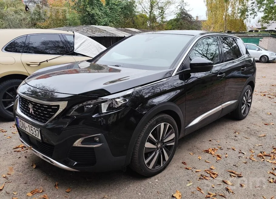 Peugeot 3008 2019 photo 2