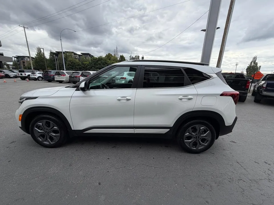 Kia Seltos 2024 photo 4