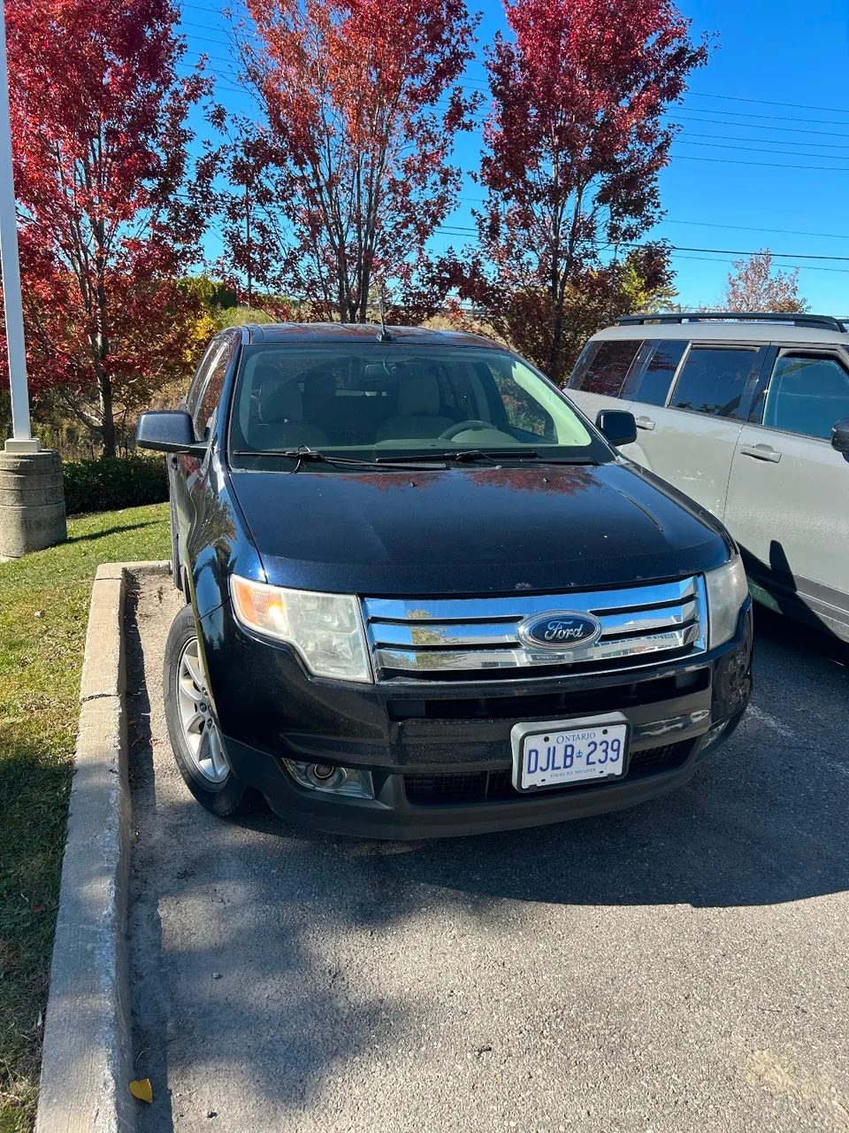 Ford Edge 2010 photo 5