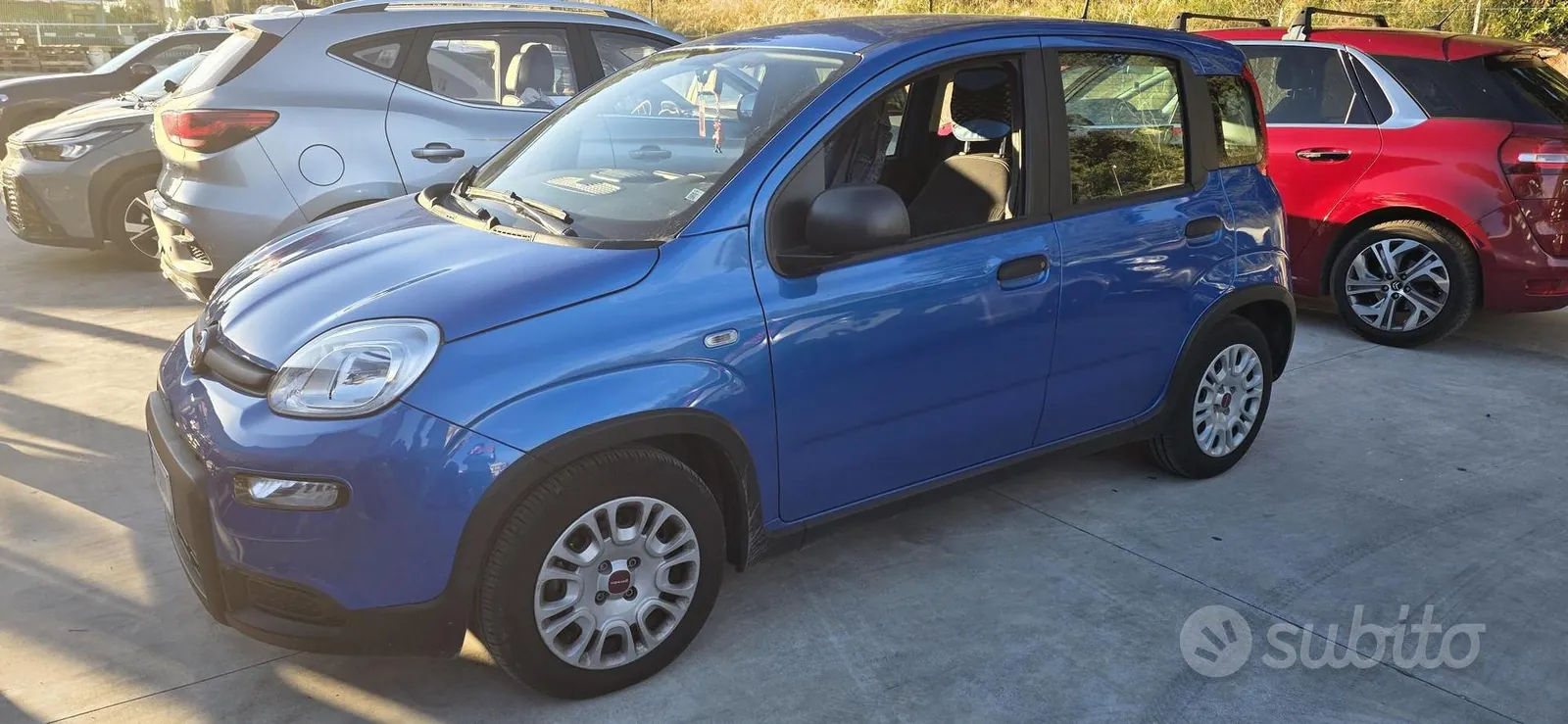 Fiat Panda 2024 photo 3