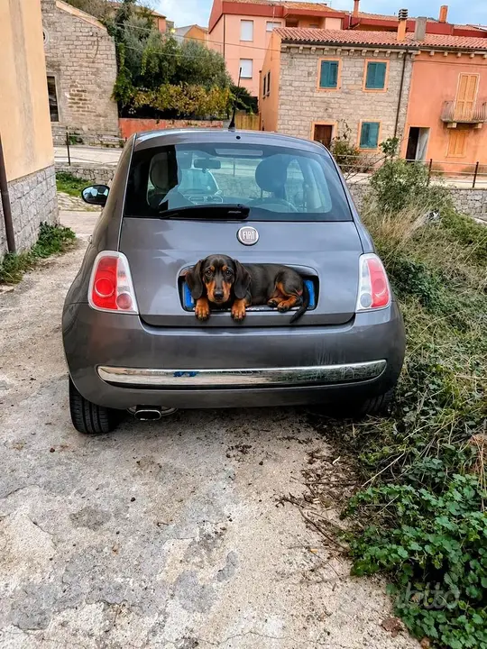 Fiat 500 2008 photo 2