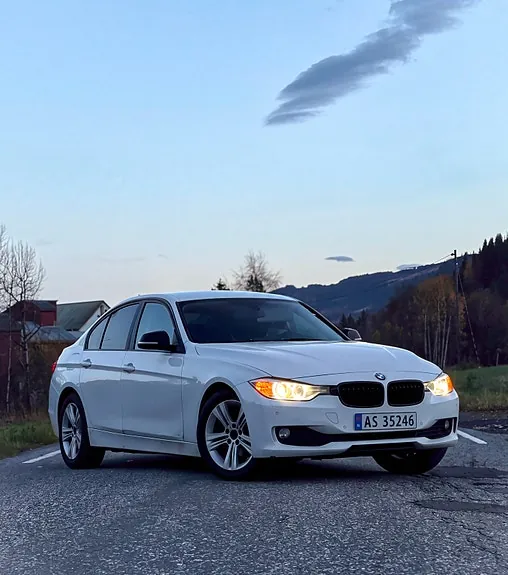 BMW 316D 2013 photo 5