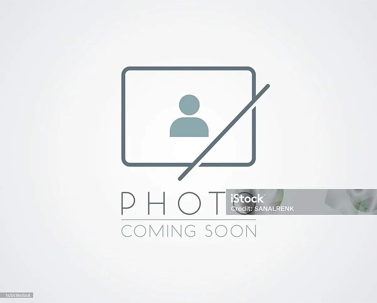 Audi Q6 2024 photo 2