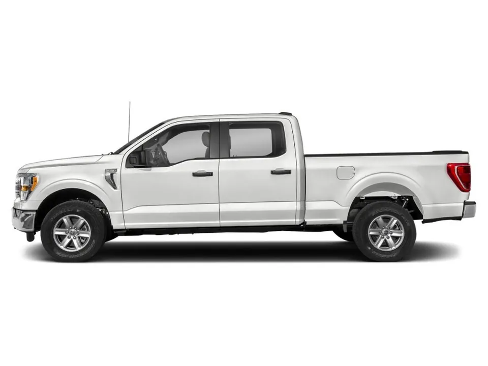 Ford F-150 2023 photo 3
